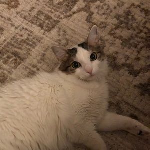 Meet your Posher, Cessa